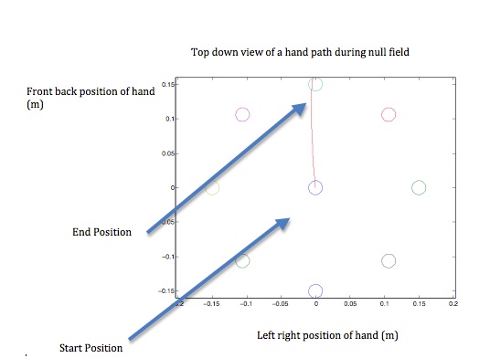 Motor Learning